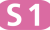Berlin_transit_icons_-_S1.svg